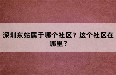 深圳东站属于哪个社区？这个社区在哪里？