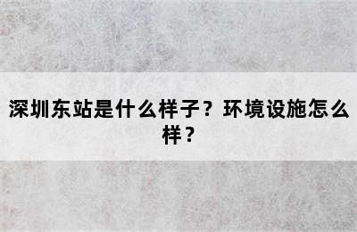 深圳东站是什么样子？环境设施怎么样？