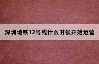 深圳地铁12号线什么时候开始运营