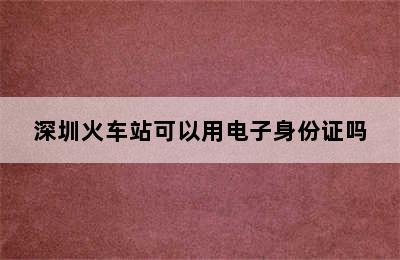 深圳火车站可以用电子身份证吗