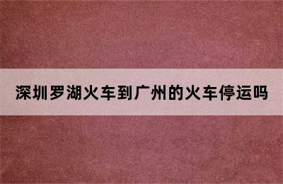 深圳罗湖火车到广州的火车停运吗