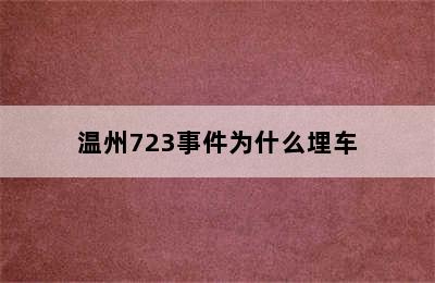 温州723事件为什么埋车