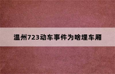 温州723动车事件为啥埋车厢