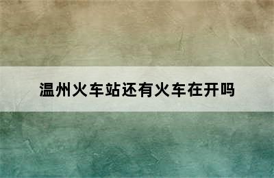 温州火车站还有火车在开吗