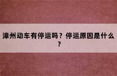 漳州动车有停运吗？停运原因是什么？