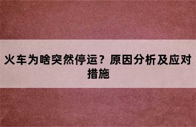 火车为啥突然停运？原因分析及应对措施