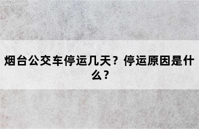 烟台公交车停运几天？停运原因是什么？