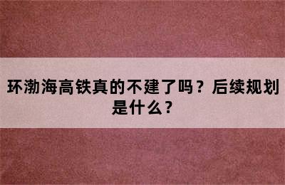 环渤海高铁真的不建了吗？后续规划是什么？