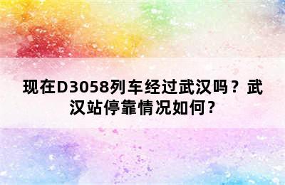 现在D3058列车经过武汉吗？武汉站停靠情况如何？