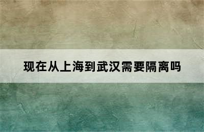 现在从上海到武汉需要隔离吗