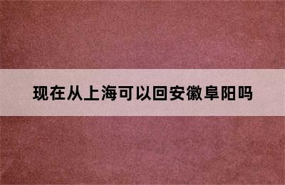 现在从上海可以回安徽阜阳吗