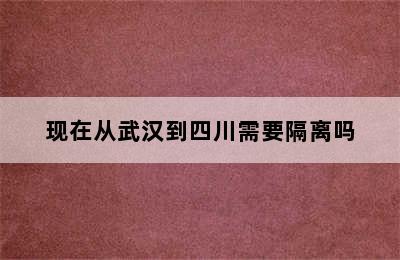 现在从武汉到四川需要隔离吗