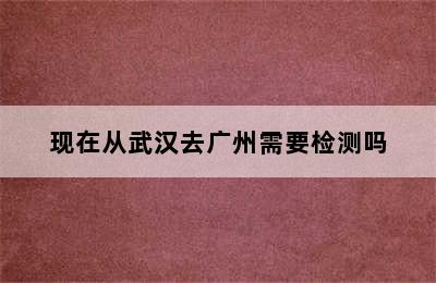 现在从武汉去广州需要检测吗