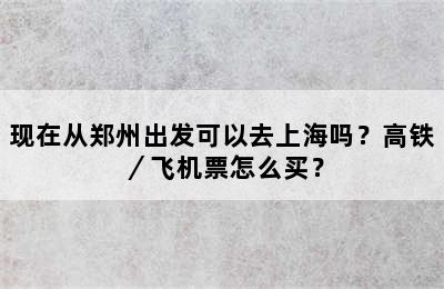 现在从郑州出发可以去上海吗？高铁／飞机票怎么买？