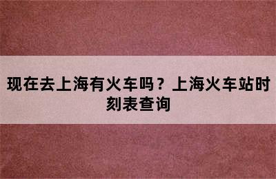 现在去上海有火车吗？上海火车站时刻表查询
