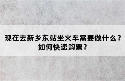 现在去新乡东站坐火车需要做什么？如何快速购票？