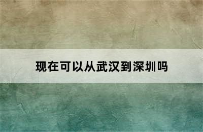 现在可以从武汉到深圳吗