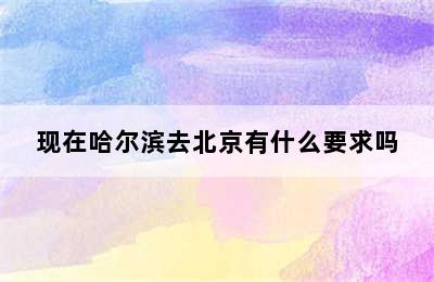 现在哈尔滨去北京有什么要求吗