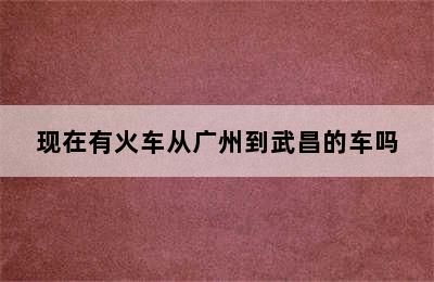 现在有火车从广州到武昌的车吗