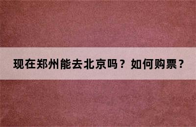 现在郑州能去北京吗？如何购票？