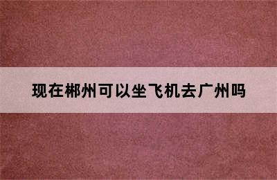 现在郴州可以坐飞机去广州吗