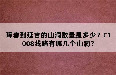珲春到延吉的山洞数量是多少？C1008线路有哪几个山洞？
