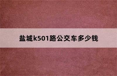 盐城k501路公交车多少钱