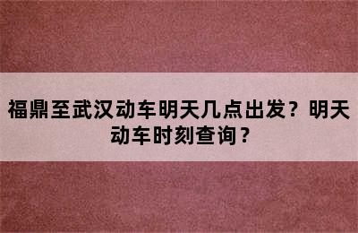 福鼎至武汉动车明天几点出发？明天动车时刻查询？
