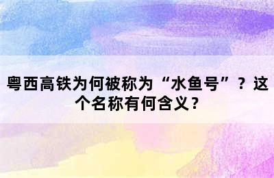 粤西高铁为何被称为“水鱼号”？这个名称有何含义？