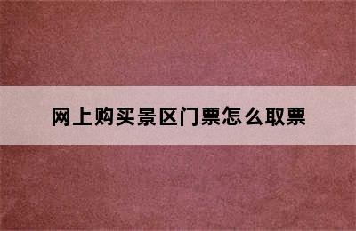 网上购买景区门票怎么取票