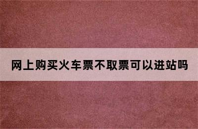 网上购买火车票不取票可以进站吗