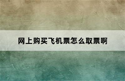 网上购买飞机票怎么取票啊