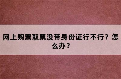 网上购票取票没带身份证行不行？怎么办？