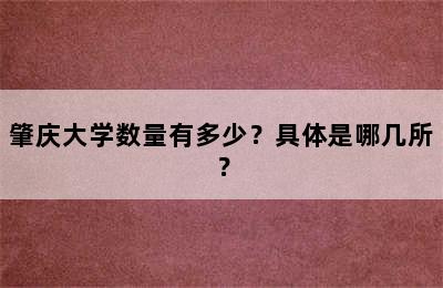 肇庆大学数量有多少？具体是哪几所？