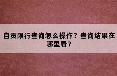 自贡限行查询怎么操作？查询结果在哪里看？