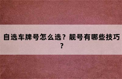 自选车牌号怎么选？靓号有哪些技巧？