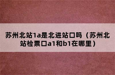 苏州北站1a是北进站口吗（苏州北站检票口a1和b1在哪里）