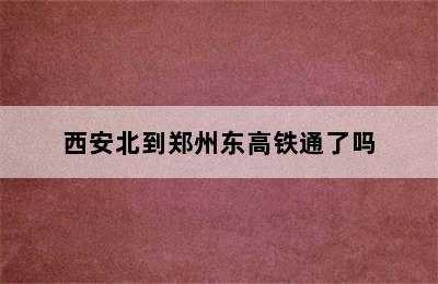 西安北到郑州东高铁通了吗