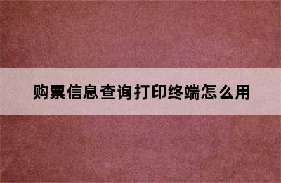 购票信息查询打印终端怎么用