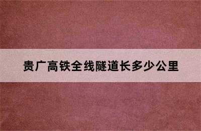 贵广高铁全线隧道长多少公里