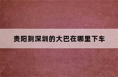 贵阳到深圳的大巴在哪里下车