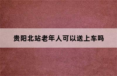 贵阳北站老年人可以送上车吗