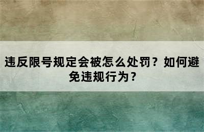 违反限号规定会被怎么处罚？如何避免违规行为？