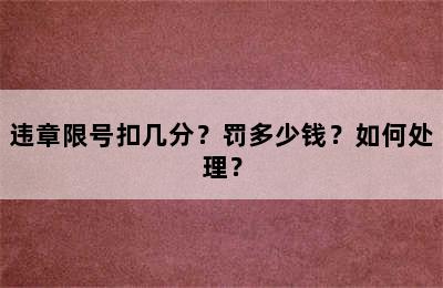 违章限号扣几分？罚多少钱？如何处理？