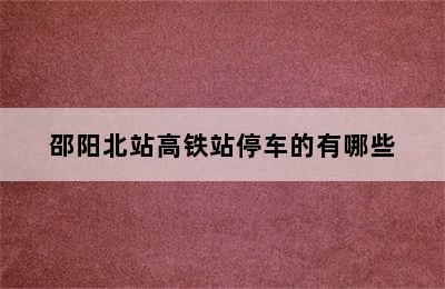 邵阳北站高铁站停车的有哪些