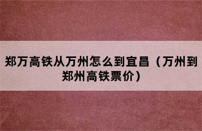 郑万高铁从万州怎么到宜昌（万州到郑州高铁票价）