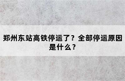 郑州东站高铁停运了？全部停运原因是什么？