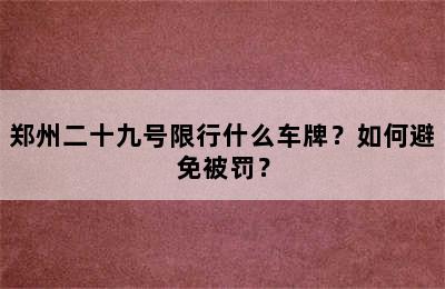 郑州二十九号限行什么车牌？如何避免被罚？