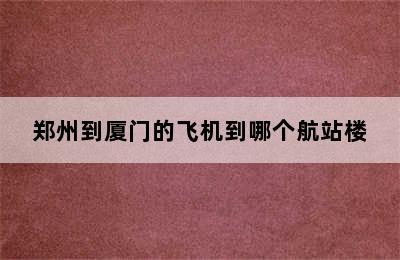 郑州到厦门的飞机到哪个航站楼