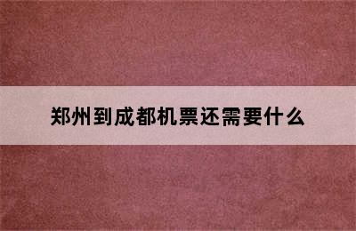 郑州到成都机票还需要什么